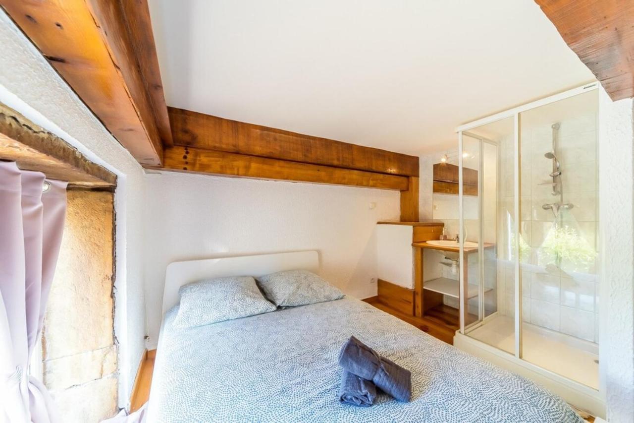 The Charming Fleury 2 Bedrooms Oullins Kültér fotó